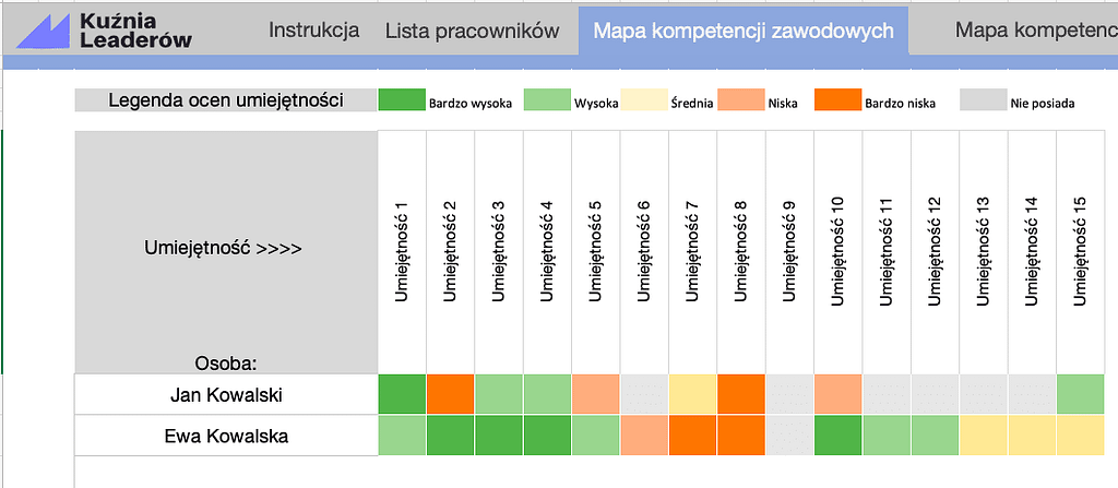 Lider powinien! - Mapa kompetencji zawodowych