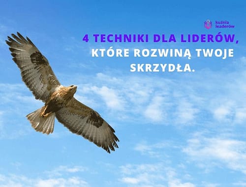 4 Techniki Dla Liderów, Które Rozwiną Twoje Skrzydła.