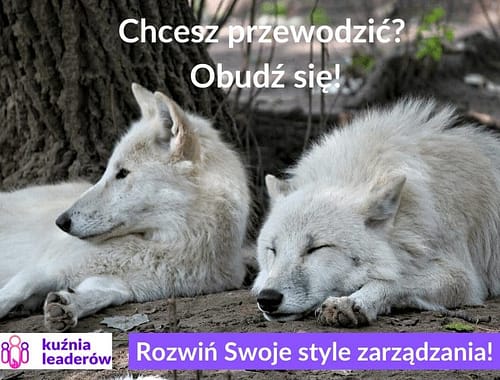Rozwiń Swoje style zarządzania!