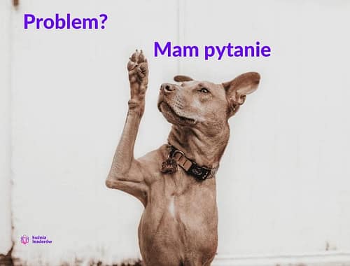 Rozwiązywanie problemów - prosta 5 krokowa metoda