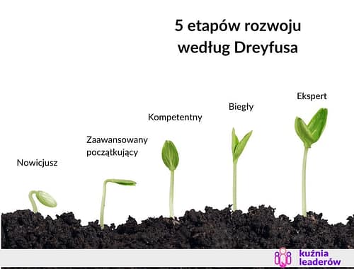 5 etapów rozwoju według Dreyfusa
