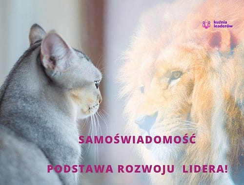 Samoświadomość podstawa rozwoju lidera!