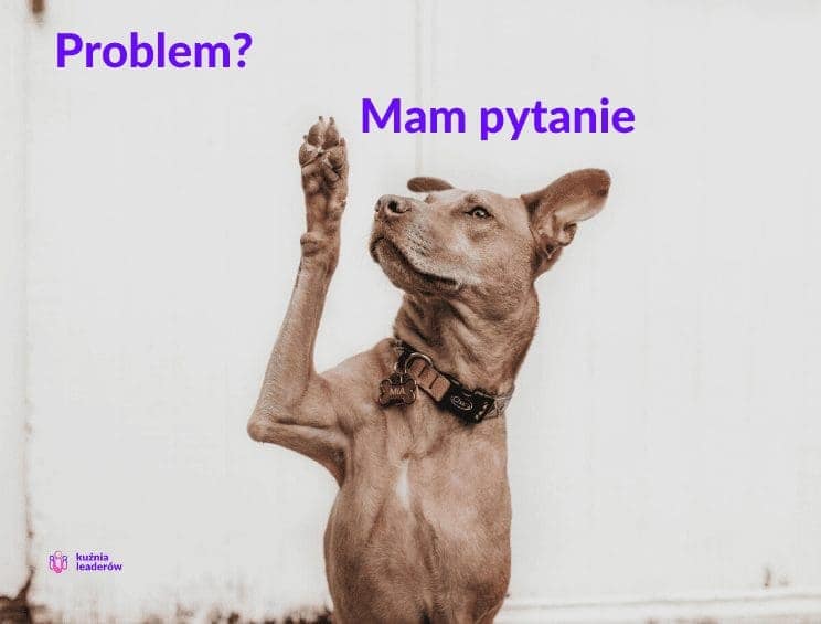 Rozwiązywanie problemów - prosta 5 krokowa metoda